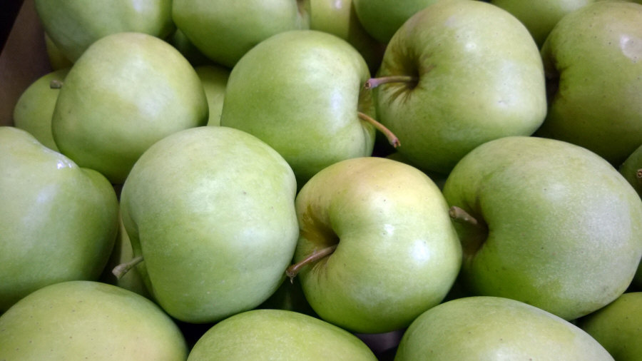 Polský vývozce ovoce, jablka, hrušky, švestky, třešně, velkoobchod Polsko 01