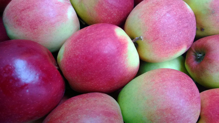 Polský vývozce ovoce, jablka, hrušky, švestky, třešně, velkoobchod Polsko 01